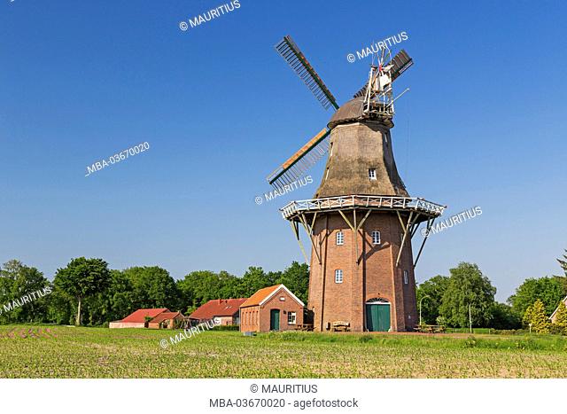 Windmill Holtland, three-storey gallery Dutchman, Holtland, East Frisia, Lower Saxony, Germany