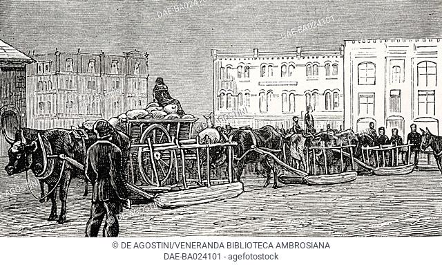 Ox trains, Market Square, Winnipeg, Canada, illustration from the magazine The Graphic, volume XXX, no 768, August 16, 1884