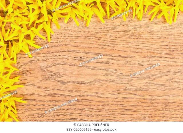 Hintergrund Holz mit gelben Blüten