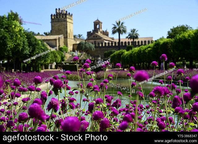 Gardens of the Alcazar de Los Reyes Cristiano, Unesco World Heritage Site, Cordoba, Andalusia, Spain