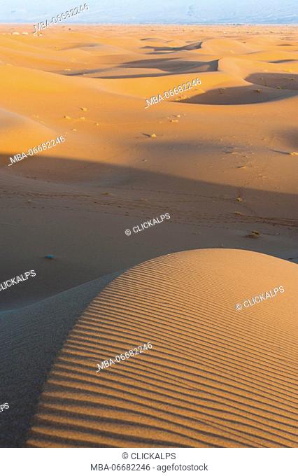Erg Chigaga, Sahara desert, Morocco, Northern Africa. Dunes at sunrise