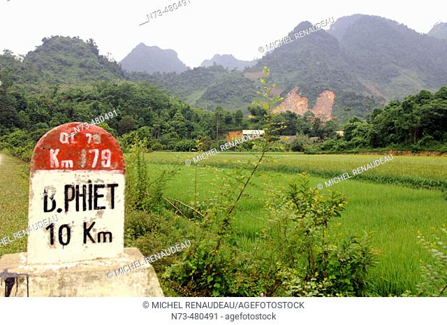 Rice fields. Lao Cai road. North Vietnam