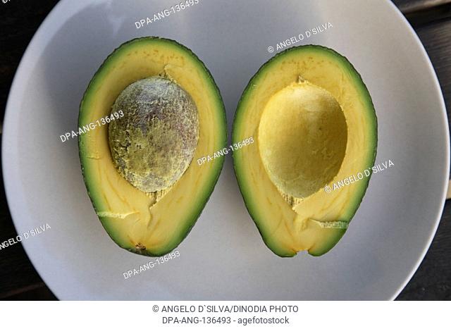 Fruit ; avocado cut in half placed in plate with seed Common name Avocado Botanical name Persea americana