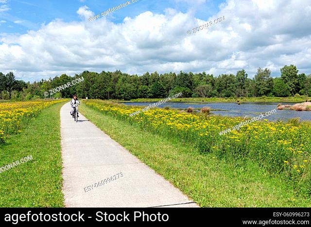 Woman at bike in Dutch national park with forest and wetlands