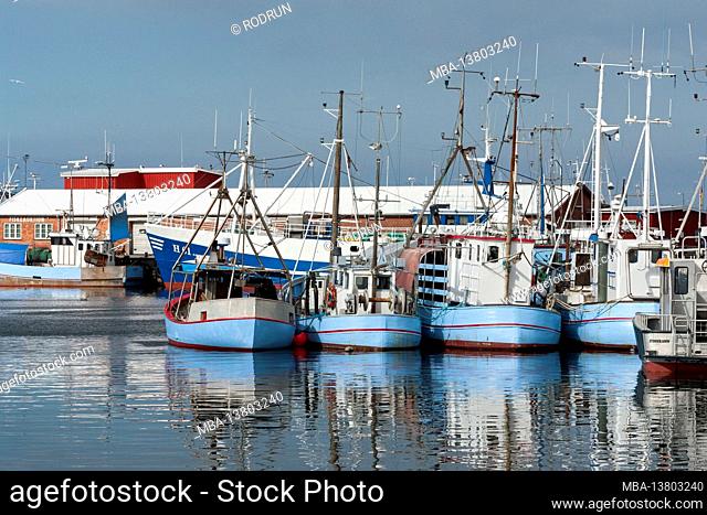 Denmark, Zealand island, Gribskov-Gilleleje, largest fishing port on the island of Zealand near Gilleleje, seaside resort and fishing village in the north of...