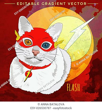 Flash Cat. Vector illustration of a cat at home
