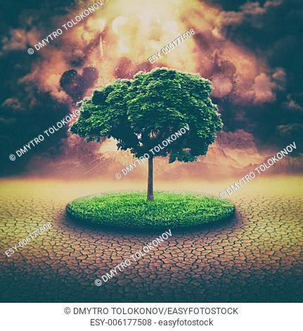global disaster, abstract environmental backgrounds with explosion and alone tree