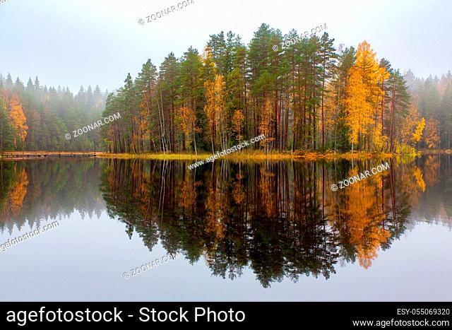 Colorful forest in Finland with mirror image in lake during autumn