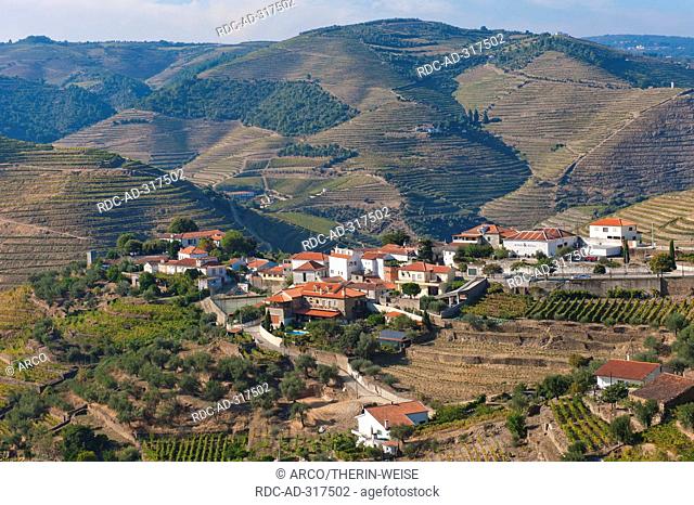 Alto Douro Wine Region, Porto Wine vineyards, Alto Douro, Tras-os-Montes, Portugal