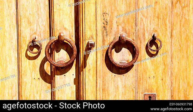blur in iran antique door entrance and   decorative handle for background