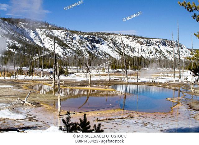 United states, Wyoming-Montana, Yellowstone National Park, landscape, geyser of the Black Sand Basin
