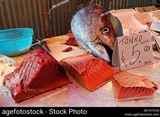 Fresh tuna, Marcato di Ballaro, Palermo, Sicily, Italy, Europe