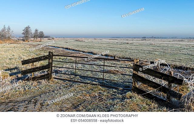 Winter near Giethoorn in Overijssel with frozen meadows and a clear winter sky, Netherlands