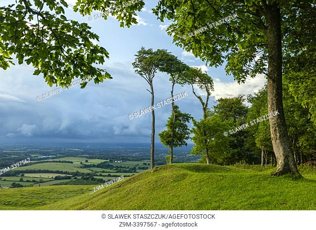Summer afternoon at Chanctonbury Ring, prehistoric hill fort in South Downs National Park, West Sussex, England