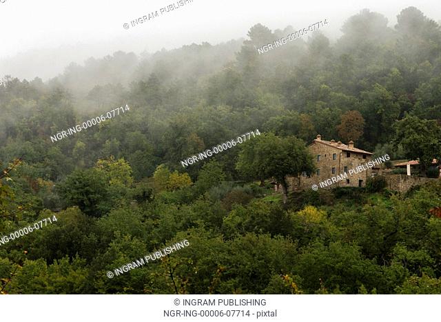 Houses amidst trees in forest, Greve in Chianti, Tuscany, Italy