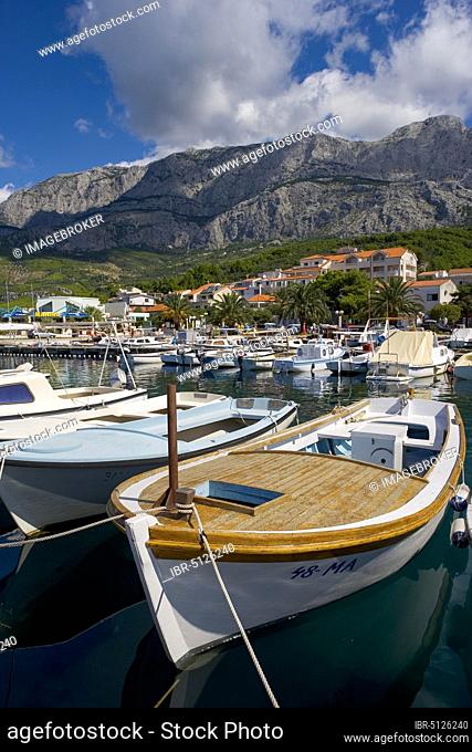 Fishing boats in port, Tucepi, Biokovo mountains, Makarska Riviera, Dalmatia, Croatian Adriatic coast, Croatia, Europe
