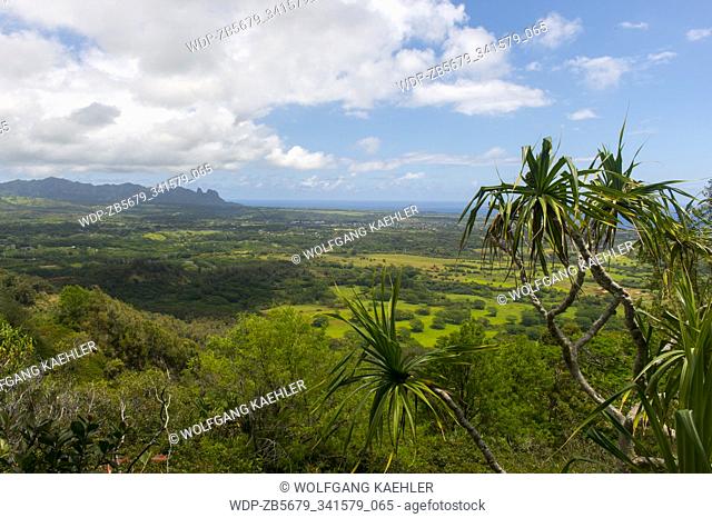 View of the eastern shore from the Sleeping Giant hiking trail, also known as Nounou Mountain, a mountain ridge located west of the towns Wailua and Kapaa in...