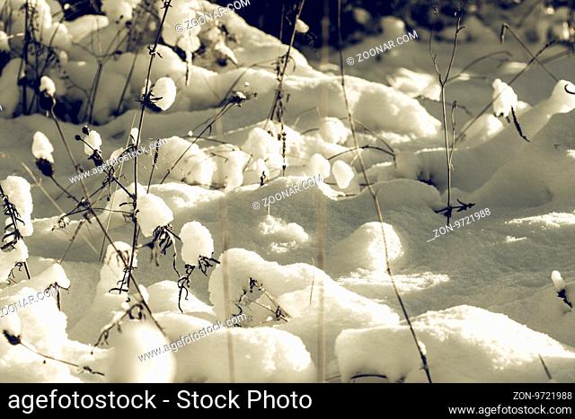 Abstract Winter background, Winter Outdoor Scene, Happy New Year and Merry Christmas Background for a Greeting or Message about Promotions and Sales