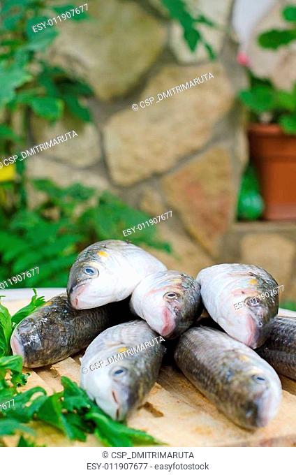 Mugil cephalus fish on the table