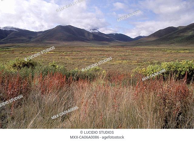 Along Dempster Highway, Ogilvie mountains in background. Yukon, Canada