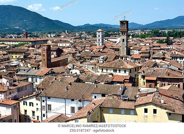 The medieval town of Lucca seen from the viewpoint on the top of Guinigi Tower. Lucca, Province of Lucca, Tuscany, Italy, Europe