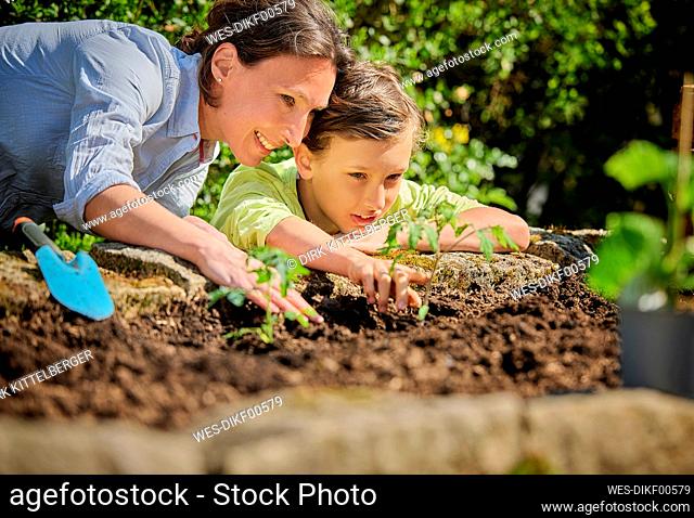 Son with mother looking at plant in garden