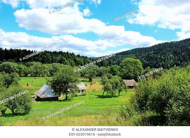 view to the Carpathian village