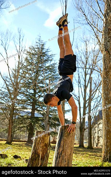 Concentrated male athlete practicing handstand on tree stump in park