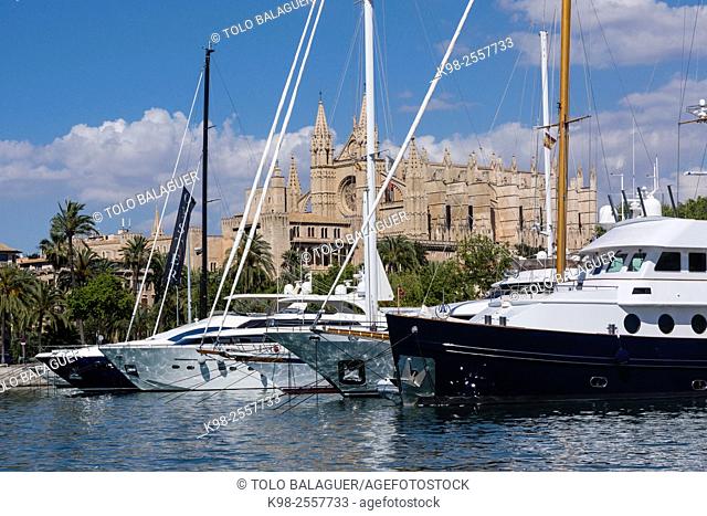 puerto deportivo de Palma y catedral, Majorca, Balearic Islands, Spain