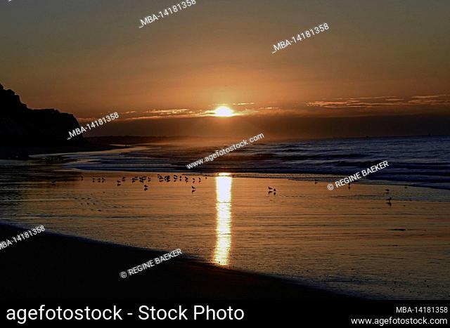 Sunrise on Albufeira beach, surf of the Atlantic in the backlight