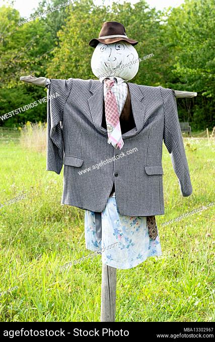 Scarecrow, hat, jacket, tie, shirt, cottage garden