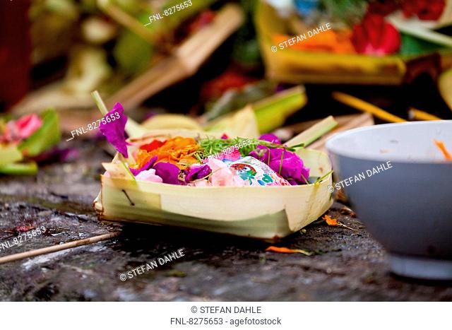 Offering Bowls in the Temple Tirtha Emphul on Bali, Indonesia