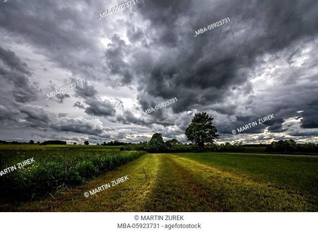 thunderclouds over the country, Bavaria, Irsee, meadow, heaven, dramatical