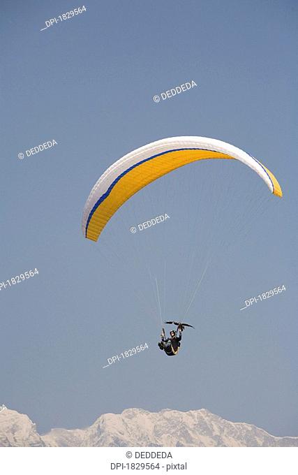 Man paragliding with an Egyptian Vulture
