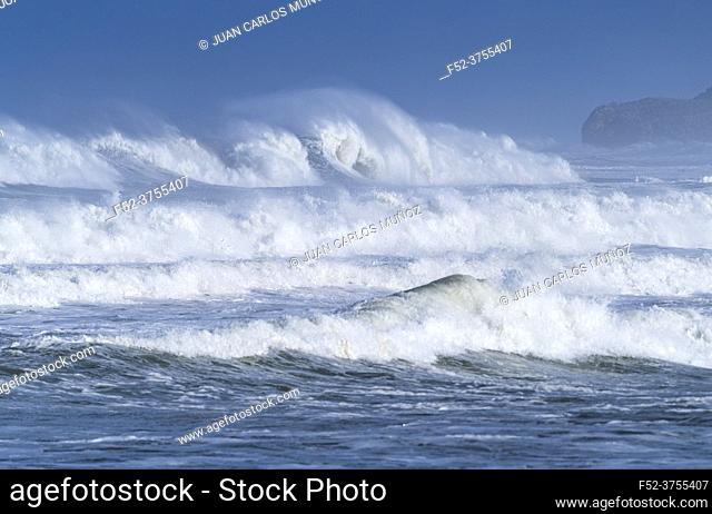 Swell in the Cantabrian Sea in the area of Cabo Oyambre between San Vicente de la Barquera and Comillas. Oyambre Natural Park, Cantabria, Spain, Europe