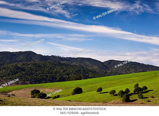 USA, California, Northern California, North Coast, Tomales Bay-area, Bivalve, landscape on Highway 1