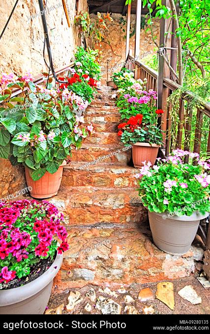 Lush flowers in flowerpots, Greece