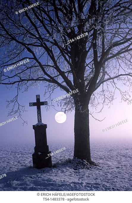 Cross beside a bare tree on a cold full moon night