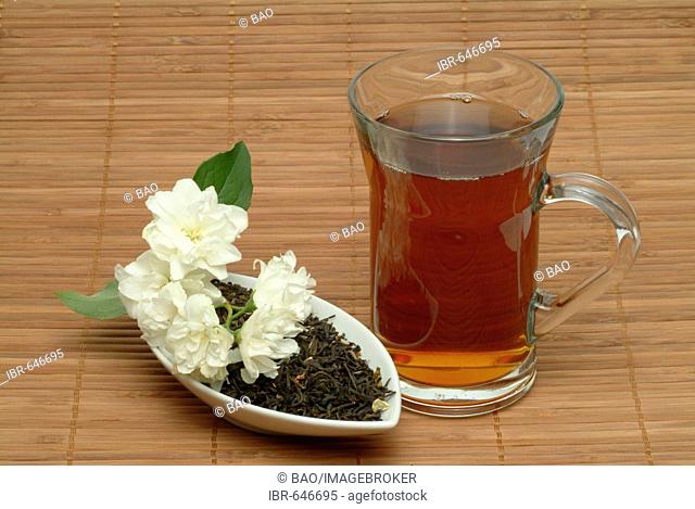 Jasmine (Jasminum officinale), herbal tea