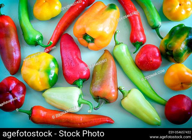 On the blue background of a variety of color and shape of the fruits of bell peppers of different varieties