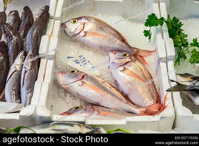 Raw fresh fish on ice at the fish market in Savona, Liguria, Italy