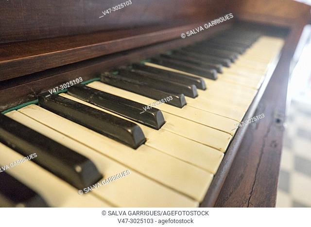 Keys of an old piano
