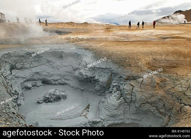 Bubbling mud spring in the Hverarönd geothermal area, also Hverir or Namaskard, Northern Iceland, Iceland, Europe