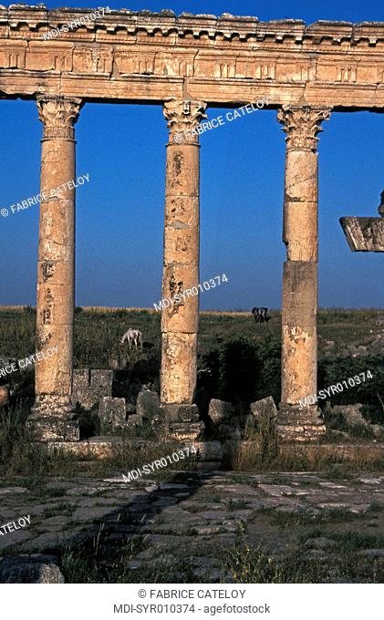 Syria - Apamea or Qalaat al-Moudiq