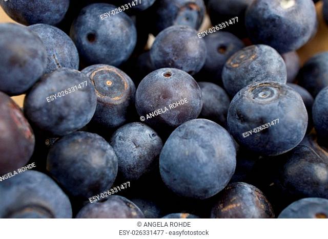 a lot of blueberries - macro shot