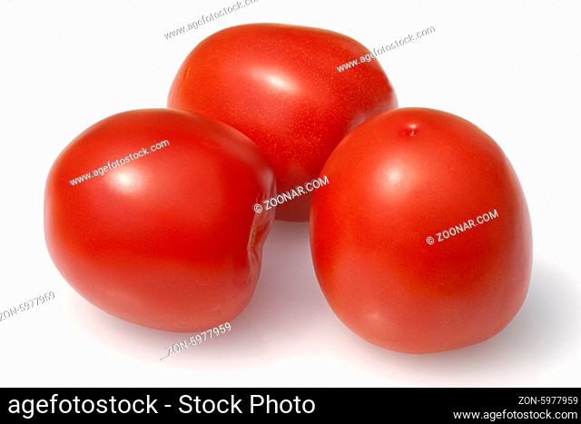 Roma-Tomaten, Romatomaten, Lycopersicon esculentum;