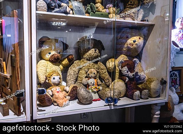Stuffed animals in museum display Stock Photos and Images | agefotostock