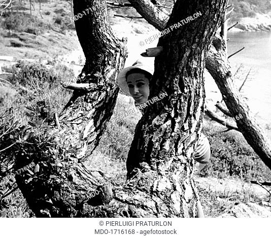 Audrey Hepburn hides behind a tree on a low promontory of the French coast; the Oscar winner british actress is here for the shooting of her last movie