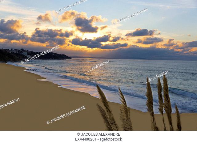 Bay of Bidart at sunset, Atlantic Coast, France
