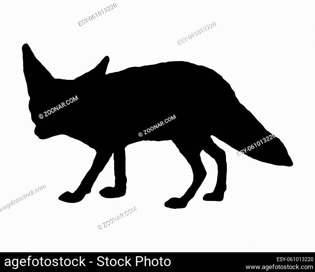 Wüstenfuchs Silhouette - Fennec fox silhouette
